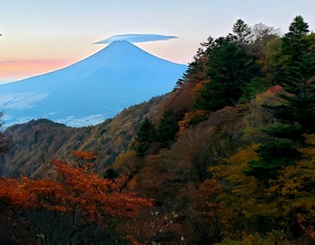 富士山紅葉