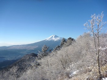 19日朝の富士山